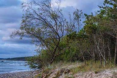 女足世界杯开幕式精彩瞬间，女足世界杯开幕式精彩瞬间图片