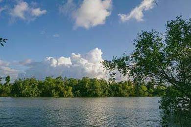 女足世界杯开幕式精彩瞬间，女足世界杯开幕式精彩瞬间图片
