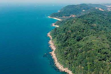 【科技助赛】VR技术如何改变棒球观赛体验，vr 棒球