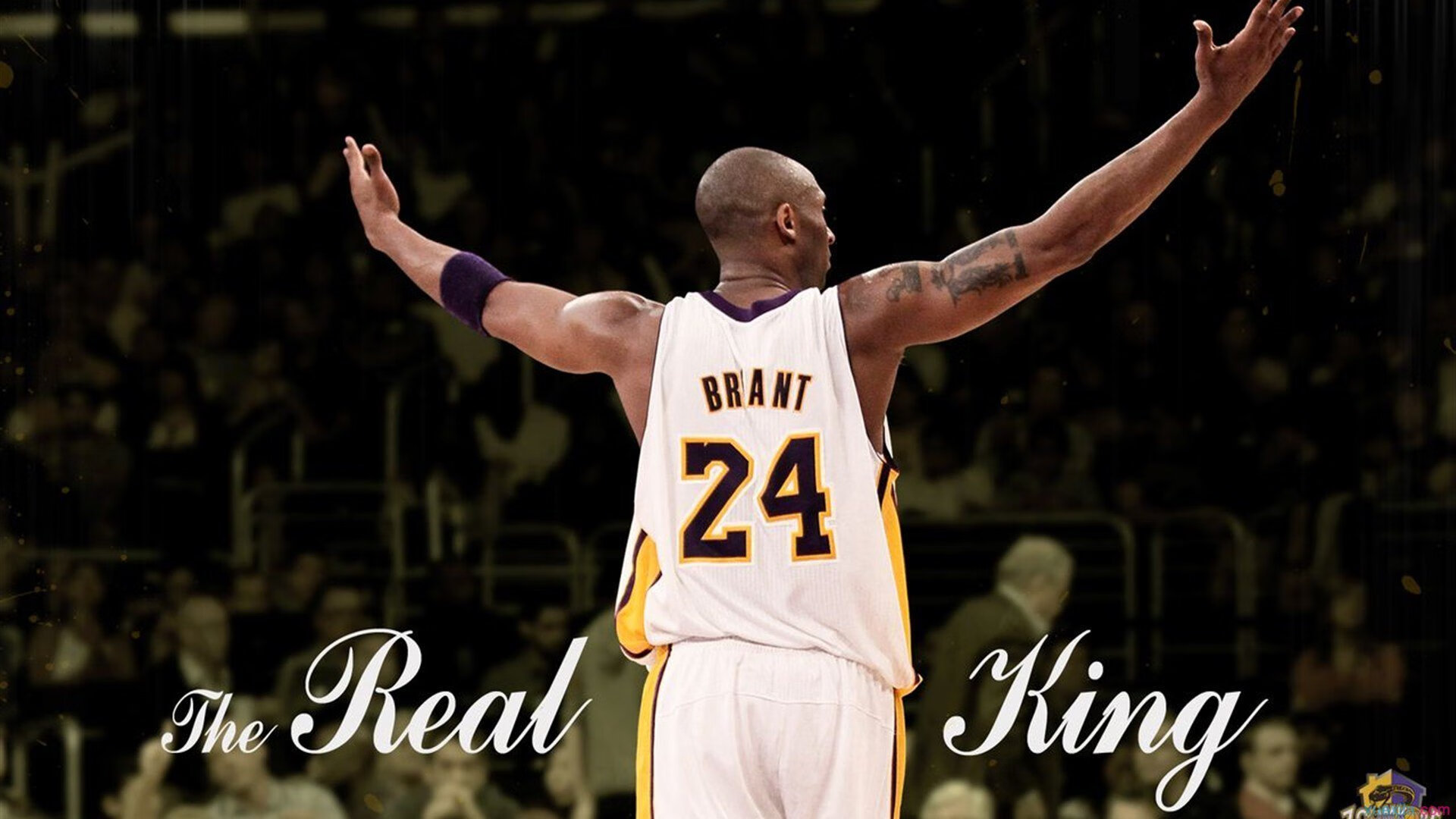 山东泰山主帅谈球队未来规划,山东泰山足球队现任主教练